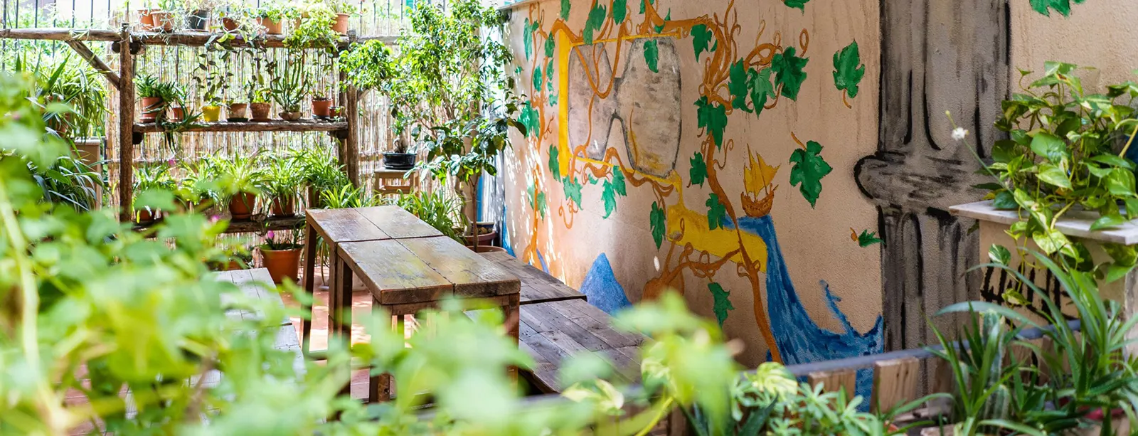 Terrazzo Ostello a Casa di Amici - Palermo